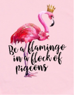 Be a Flamingo- Adult